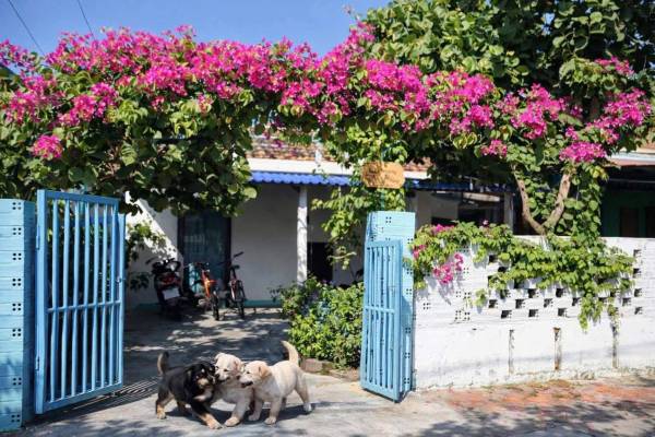 Về Nơi Có Nắng Homestay